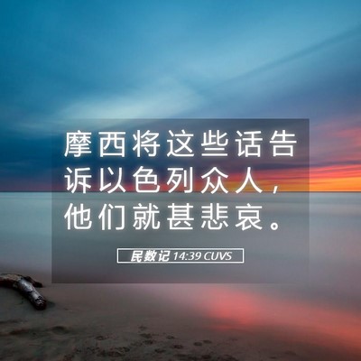 Picture 05 - 民 数 记 14:39 CUVS - 摩 西 将 这 些 话 告 诉 以 色 列 众 - Bible Verse Picture