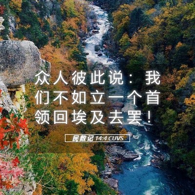 Picture 05 - 民 数 记 14:4 CUVS - 众 人 彼 此 说 ： 我 们 不 如 立 一 - Bible Verse Picture
