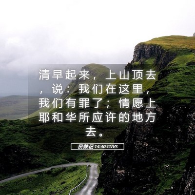 Picture 05 - 民 数 记 14:40 CUVS - 清 早 起 来 ， 上 山 顶 去 ， 说 ： - Bible Verse Picture