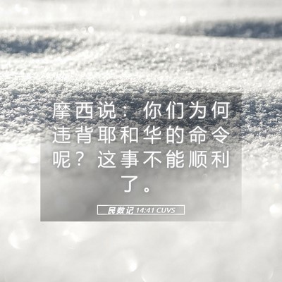 Picture 05 - 民 数 记 14:41 CUVS - 摩 西 说 ： 你 们 为 何 违 背 耶 和 - Bible Verse Picture