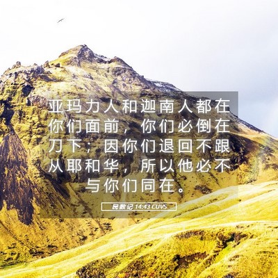 Picture 05 - 民 数 记 14:43 CUVS - 亚 玛 力 人 和 迦 南 人 都 在 你 们 - Bible Verse Picture