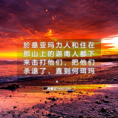 Picture 05 - 民 数 记 14:45 CUVS - 於 是 亚 玛 力 人 和 住 在 那 山 上 - Bible Verse Picture