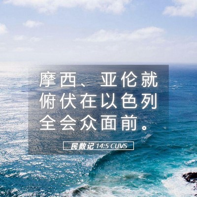 Picture 05 - 民 数 记 14:5 CUVS - 摩 西 、 亚 伦 就 俯 伏 在 以 色 列 - Bible Verse Picture