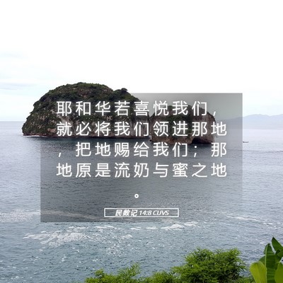 Picture 05 - 民 数 记 14:8 CUVS - 耶 和 华 若 喜 悦 我 们 ， 就 必 将 - Bible Verse Picture