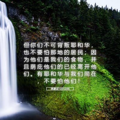 Picture 05 - 民 数 记 14:9 CUVS - 但 你 们 不 可 背 叛 耶 和 华 ， 也 - Bible Verse Picture