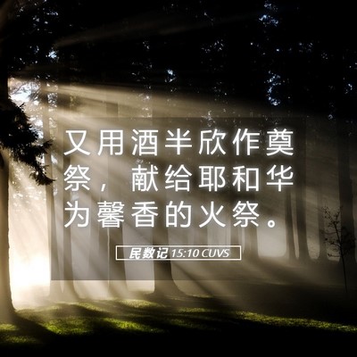 Picture 05 - 民 数 记 15:10 CUVS - 又 用 酒 半 欣 作 奠 祭 ， 献 给 耶 - Bible Verse Picture
