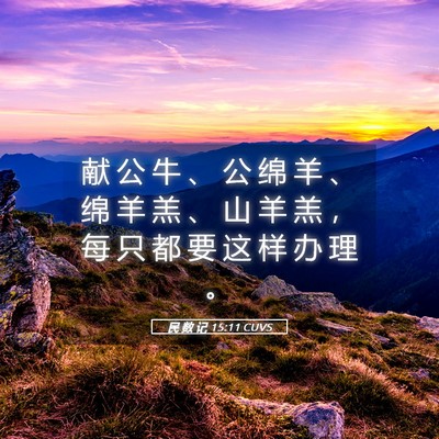 Picture 05 - 民 数 记 15:11 CUVS - 献 公 牛 、 公 绵 羊 、 绵 羊 羔 、 - Bible Verse Picture