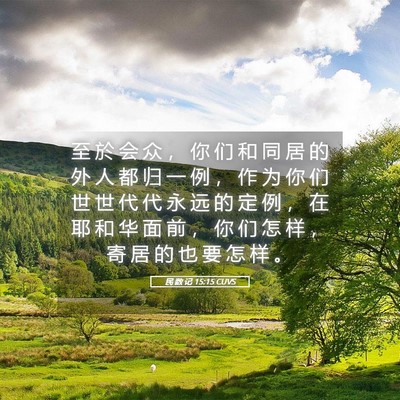 Picture 05 - 民 数 记 15:15 CUVS - 至 於 会 众 ， 你 们 和 同 居 的 外 - Bible Verse Picture