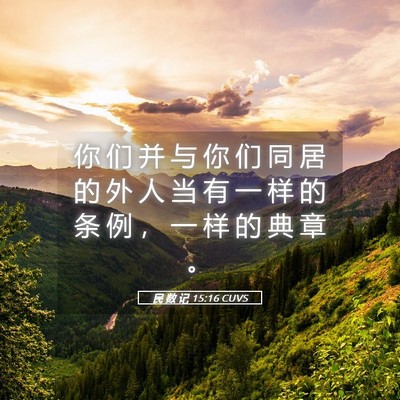 Picture 05 - 民 数 记 15:16 CUVS - 你 们 并 与 你 们 同 居 的 外 人 当 - Bible Verse Picture