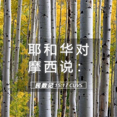 Picture 05 - 民 数 记 15:17 CUVS - 耶 和 华 对 摩 西 说 - Bible Verse Picture
