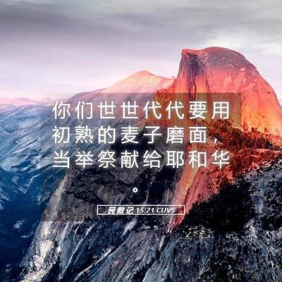 Picture 05 - 民 数 记 15:21 CUVS - 你 们 世 世 代 代 要 用 初 熟 的 麦 - Bible Verse Picture