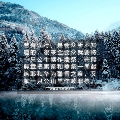 Picture 05 - 民 数 记 15:24 CUVS - 若 有 误 行 ， 是 会 众 所 不 知 道 - Bible Verse Picture