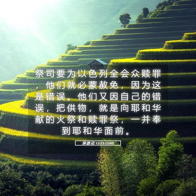 Picture 05 - 民 数 记 15:25 CUVS - 祭 司 要 为 以 色 列 全 会 众 赎 罪 - Bible Verse Picture