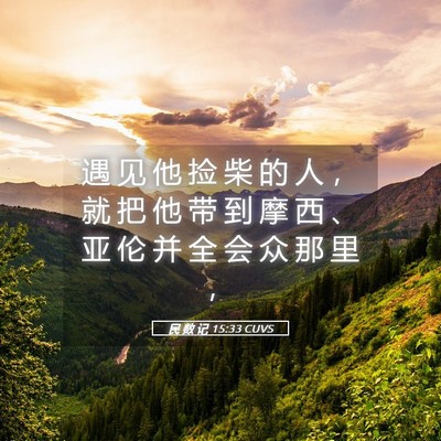 Picture 05 - 民 数 记 15:33 CUVS - 遇 见 他 捡 柴 的 人 ， 就 把 他 带 - Bible Verse Picture