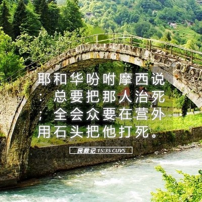 Picture 05 - 民 数 记 15:35 CUVS - 耶 和 华 吩 咐 摩 西 说 ： 总 要 把 - Bible Verse Picture