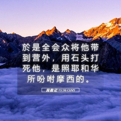 Picture 05 - 民 数 记 15:36 CUVS - 於 是 全 会 众 将 他 带 到 营 外 ， - Bible Verse Picture