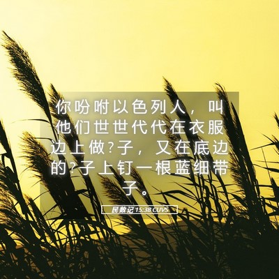 Picture 05 - 民 数 记 15:38 CUVS - 你 吩 咐 以 色 列 人 ， 叫 他 们 世 - Bible Verse Picture