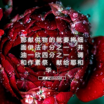 Picture 05 - 民 数 记 15:4 CUVS - 那 献 供 物 的 就 要 将 细 面 伊 法 - Bible Verse Picture
