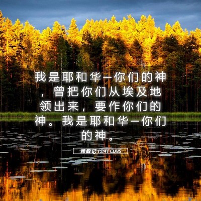 Picture 05 - 民 数 记 15:41 CUVS - 我 是 耶 和 华 ─ 你 们 的 神 ， 曾 - Bible Verse Picture