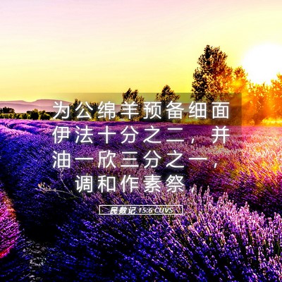 Picture 05 - 民 数 记 15:6 CUVS - 为 公 绵 羊 预 备 细 面 伊 法 十 分 - Bible Verse Picture