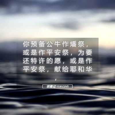 Picture 05 - 民 数 记 15:8 CUVS - 你 预 备 公 牛 作 燔 祭 ， 或 是 作 - Bible Verse Picture