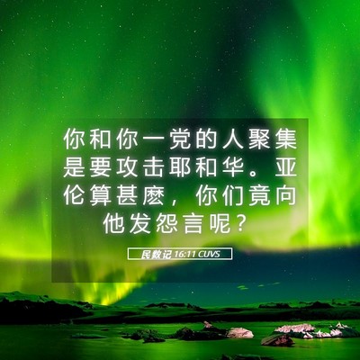 Picture 05 - 民 数 记 16:11 CUVS - 你 和 你 一 党 的 人 聚 集 是 要 攻 - Bible Verse Picture