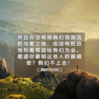 Picture 05 - 民 数 记 16:14 CUVS - 并 且 你 没 有 将 我 们 领 到 流 奶 - Bible Verse Picture