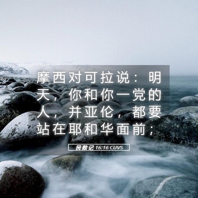 Picture 05 - 民 数 记 16:16 CUVS - 摩 西 对 可 拉 说 ： 明 天 ， 你 和 - Bible Verse Picture