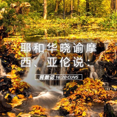 Picture 05 - 民 数 记 16:20 CUVS - 耶 和 华 晓 谕 摩 西 、 亚 伦 说 - Bible Verse Picture