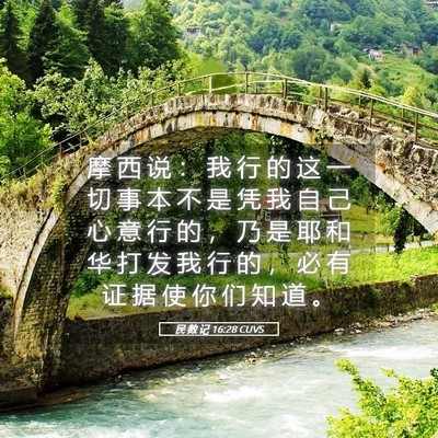 Picture 05 - 民 数 记 16:28 CUVS - 摩 西 说 ： 我 行 的 这 一 切 事 本 - Bible Verse Picture