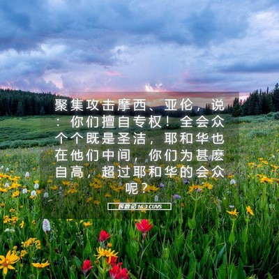 Picture 05 - 民 数 记 16:3 CUVS - 聚 集 攻 击 摩 西 、 亚 伦 ， 说 ： - Bible Verse Picture