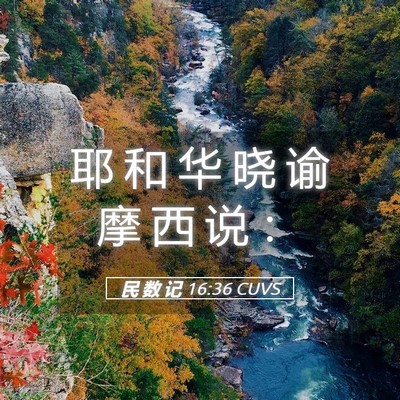Picture 05 - 民 数 记 16:36 CUVS - 耶 和 华 晓 谕 摩 西 说 - Bible Verse Picture