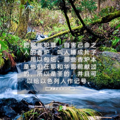 Picture 05 - 民 数 记 16:38 CUVS - 把 那 些 犯 罪 、 自 害 己 命 之 人 - Bible Verse Picture