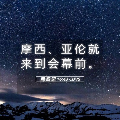 Picture 05 - 民 数 记 16:43 CUVS - 摩 西 、 亚 伦 就 来 到 会 幕 前 - Bible Verse Picture