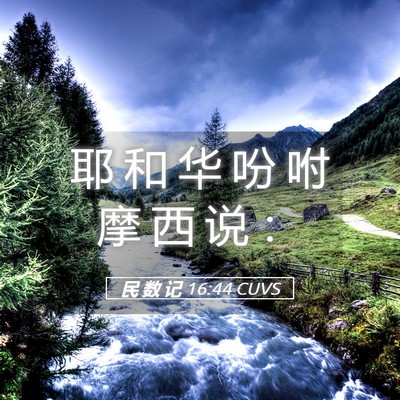 Picture 05 - 民 数 记 16:44 CUVS - 耶 和 华 吩 咐 摩 西 说 - Bible Verse Picture