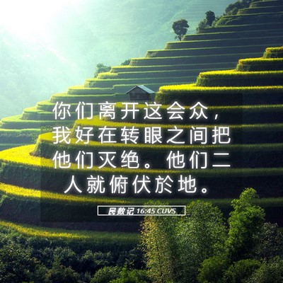 Picture 05 - 民 数 记 16:45 CUVS - 你 们 离 开 这 会 众 ， 我 好 在 转 - Bible Verse Picture