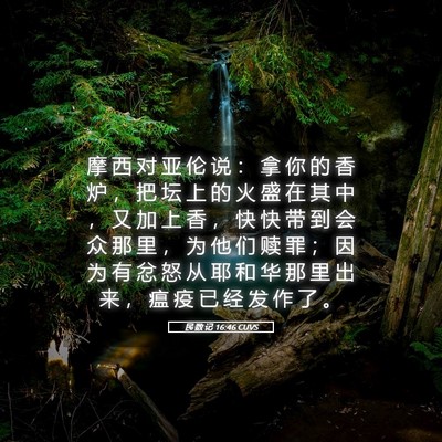 Picture 05 - 民 数 记 16:46 CUVS - 摩 西 对 亚 伦 说 ： 拿 你 的 香 炉 - Bible Verse Picture