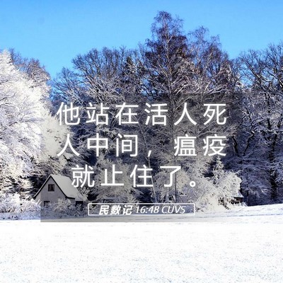 Picture 05 - 民 数 记 16:48 CUVS - 他 站 在 活 人 死 人 中 间 ， 瘟 疫 - Bible Verse Picture