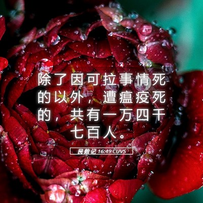 Picture 05 - 民 数 记 16:49 CUVS - 除 了 因 可 拉 事 情 死 的 以 外 ， - Bible Verse Picture