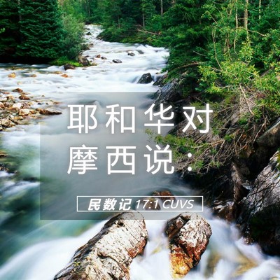Picture 05 - 民 数 记 17:1 CUVS - 耶 和 华 对 摩 西 说 - Bible Verse Picture