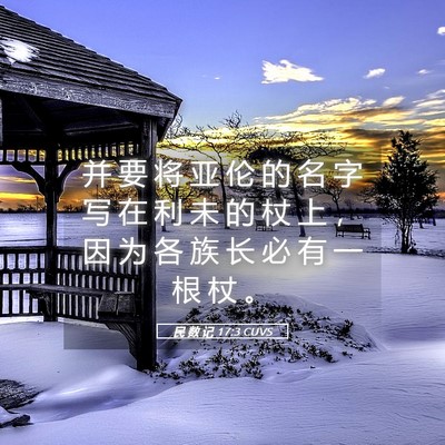 Picture 05 - 民 数 记 17:3 CUVS - 并 要 将 亚 伦 的 名 字 写 在 利 未 - Bible Verse Picture