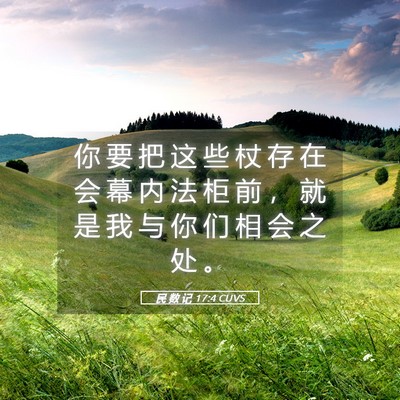 Picture 05 - 民 数 记 17:4 CUVS - 你 要 把 这 些 杖 存 在 会 幕 内 法 - Bible Verse Picture