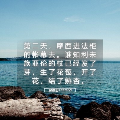 Picture 05 - 民 数 记 17:8 CUVS - 第 二 天 ， 摩 西 进 法 柜 的 帐 幕 - Bible Verse Picture