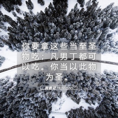 Picture 05 - 民 数 记 18:10 CUVS - 你 要 拿 这 些 当 至 圣 物 吃 ； 凡 - Bible Verse Picture