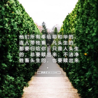 Picture 05 - 民 数 记 18:15 CUVS - 他 们 所 有 奉 给 耶 和 华 的 ， 连 - Bible Verse Picture