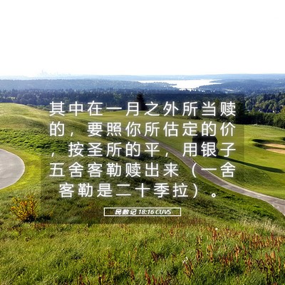 Picture 05 - 民 数 记 18:16 CUVS - 其 中 在 一 月 之 外 所 当 赎 的 ， - Bible Verse Picture