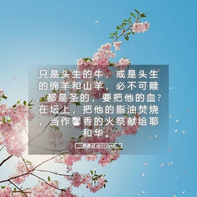 Picture 05 - 民 数 记 18:17 CUVS - 只 是 头 生 的 牛 ， 或 是 头 生 的 - Bible Verse Picture