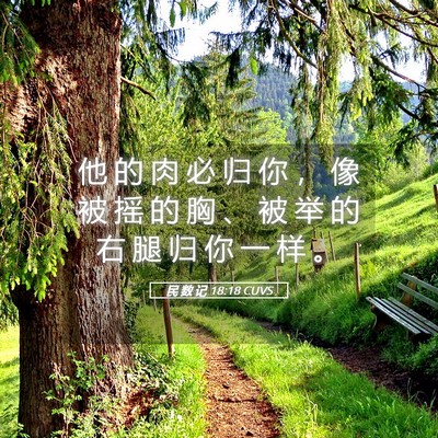 Picture 05 - 民 数 记 18:18 CUVS - 他 的 肉 必 归 你 ， 像 被 摇 的 胸 - Bible Verse Picture