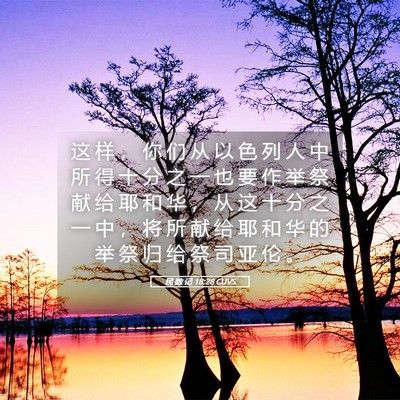 Picture 05 - 民 数 记 18:28 CUVS - 这 样 ， 你 们 从 以 色 列 人 中 所 - Bible Verse Picture