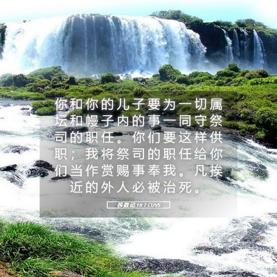 Picture 05 - 民 数 记 18:7 CUVS - 你 和 你 的 儿 子 要 为 一 切 属 坛 - Bible Verse Picture